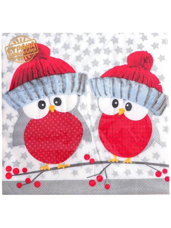 Салфетки бумажные «Совушки в шапочках», 33х33 см, набор 20 шт.