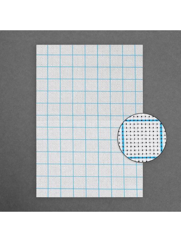 Канва для вышивания, в клетку, №11, 30 × 20 см, цвет белый