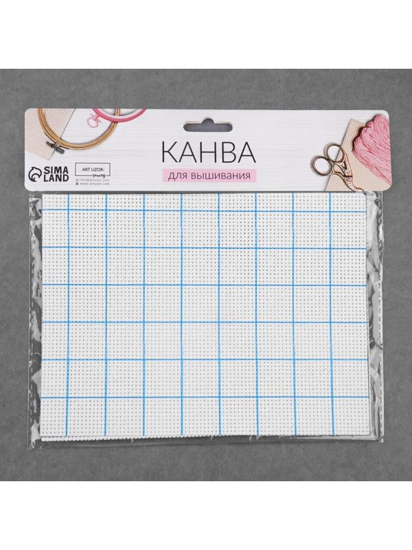 Канва для вышивания, в клетку, №11, 30 × 20 см, цвет белый