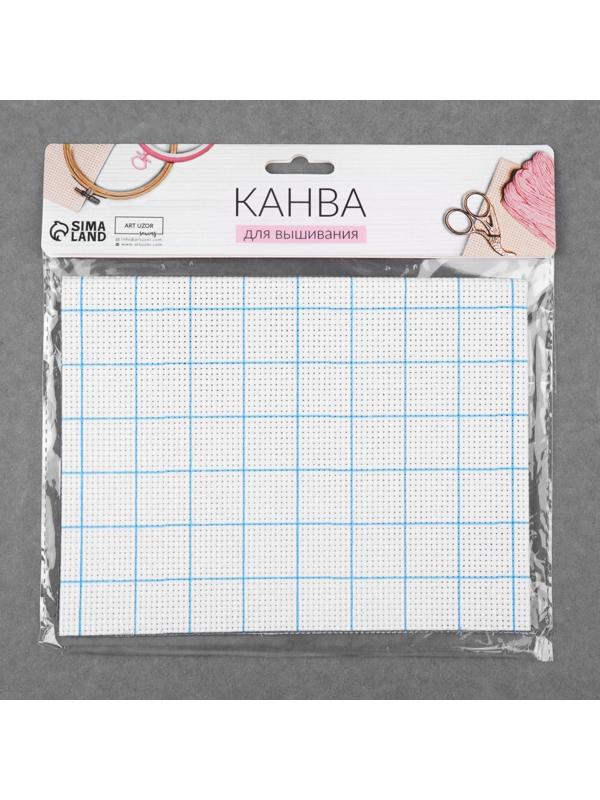 Канва для вышивания №11, 30 × 40 см, цвет белый