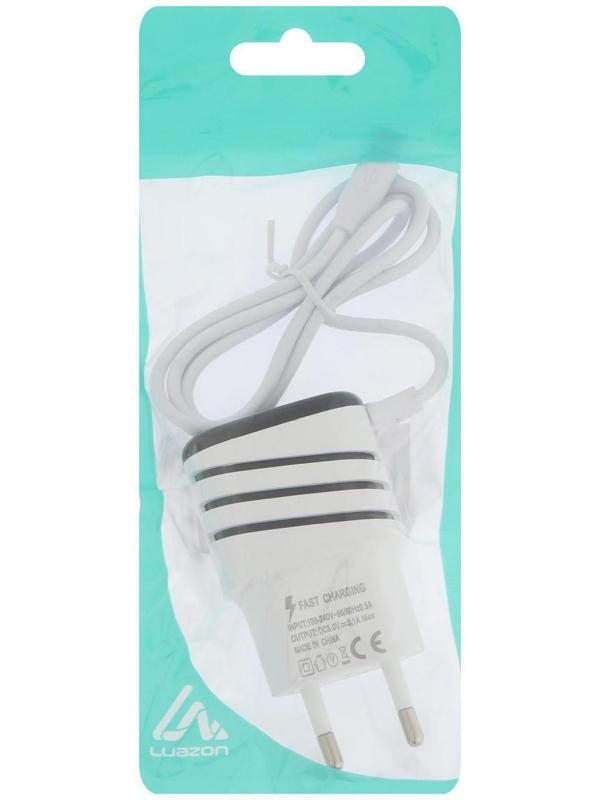 Сетевое зарядное устройство LuazON LCC-24, 2 USB, microUSB, 1 A, 1 м, черно-белое