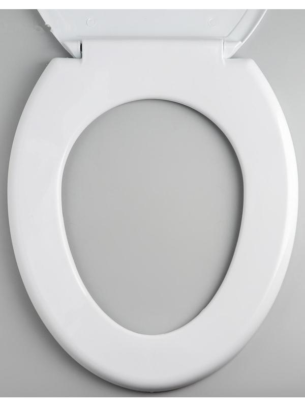 Сиденье для унитаза с крышкой «Декор. Белый мрамор», цвет белый