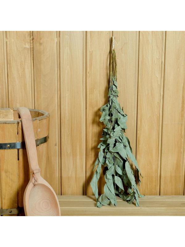 Набор запарок эвкалиптовых 30 гр. с пучком эвкалипта в мешочке