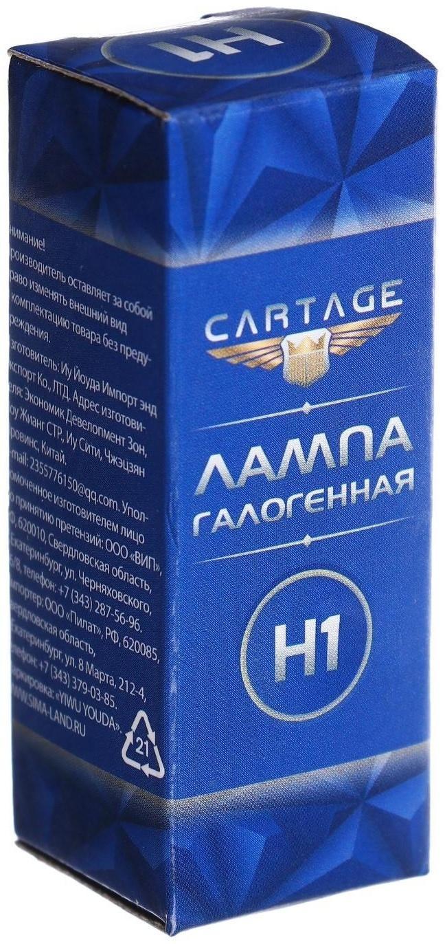 Галогенная лампа Cartage Cool Blue H1, 12 В, 55 Вт +30%