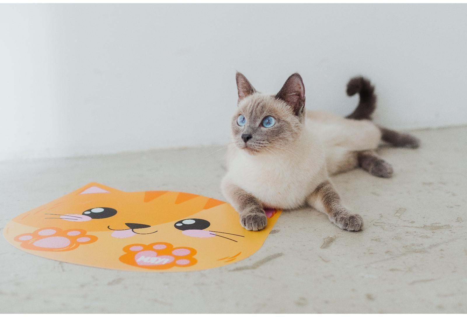 Коврик под миску «Мяу!» 35х28 см