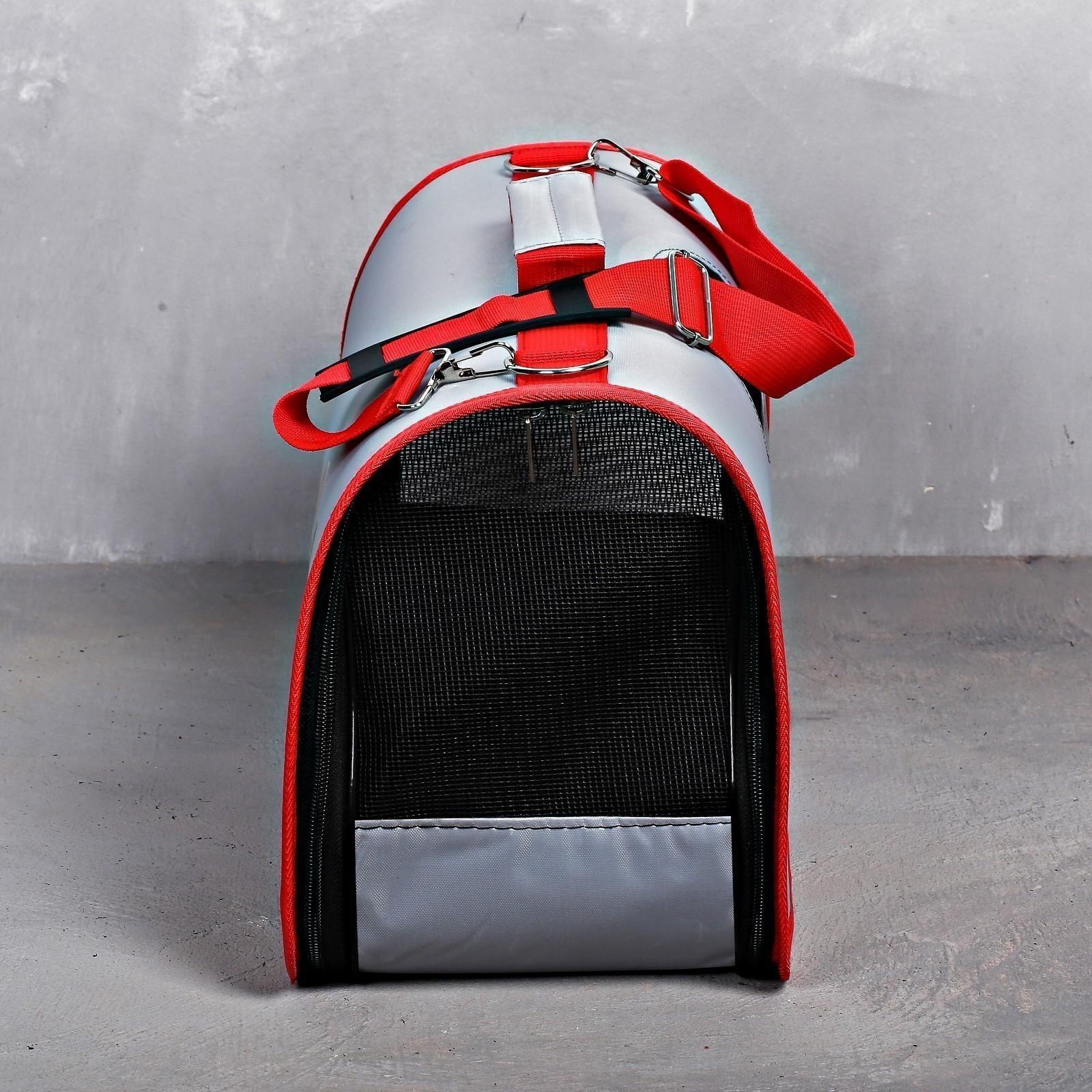 Сумка-переноска раскладная, каркасная «Погнали!» 45x27x20 см