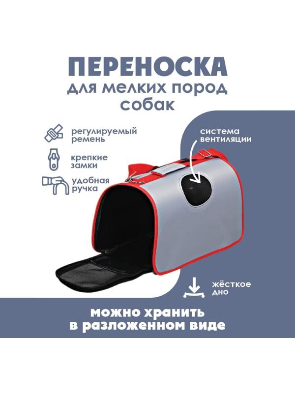 Сумка-переноска раскладная, каркасная «Погнали!» 45x27x20 см