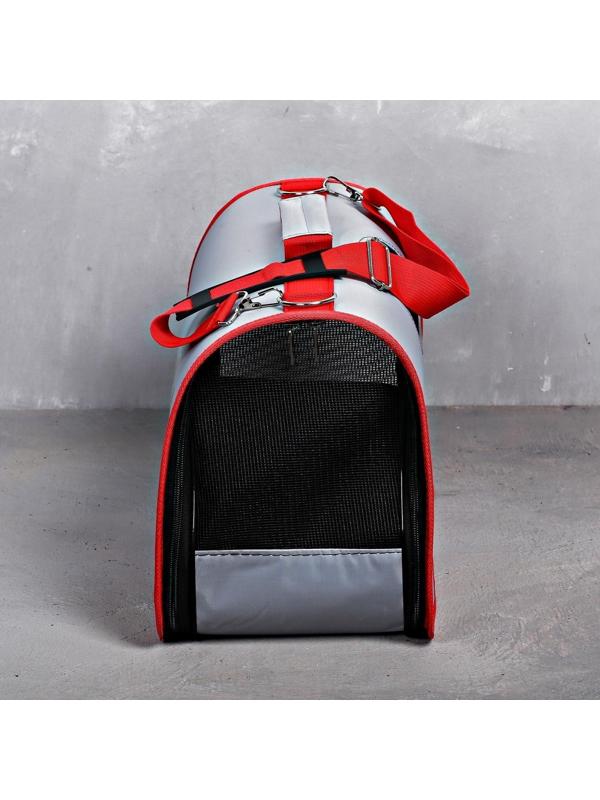 Сумка-переноска раскладная, каркасная «Погнали!» 45x27x20 см