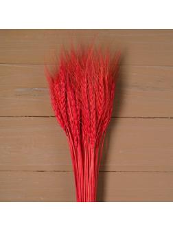 Сухой колос пшеницы, набор 50 шт., цвет красный