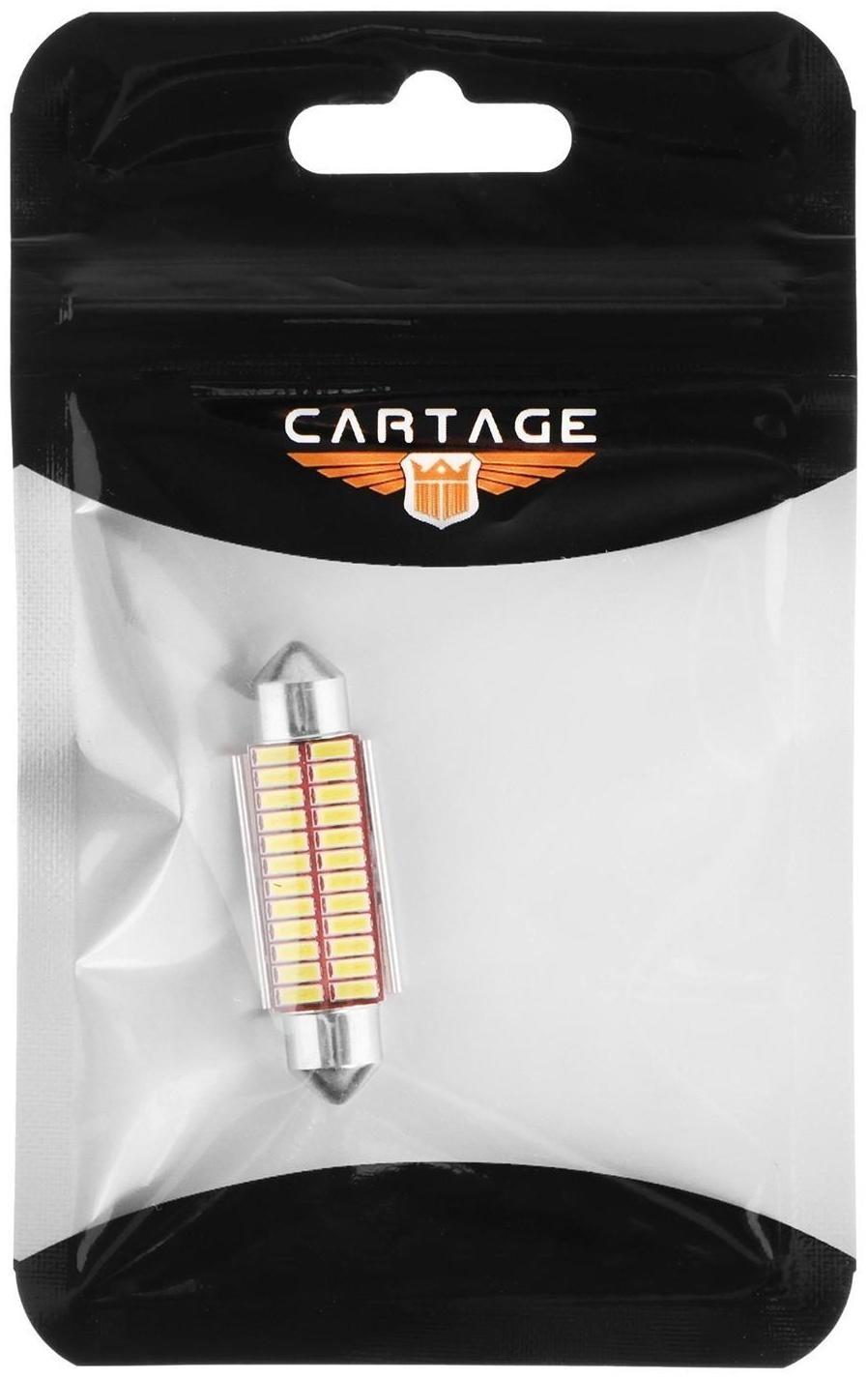 Автолампа светодиодная Cartage, C5W, 12 В, 22 SMD, 41 мм, свет белый