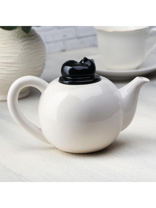 Чайник «Дом там, где твой кот», 350 мл