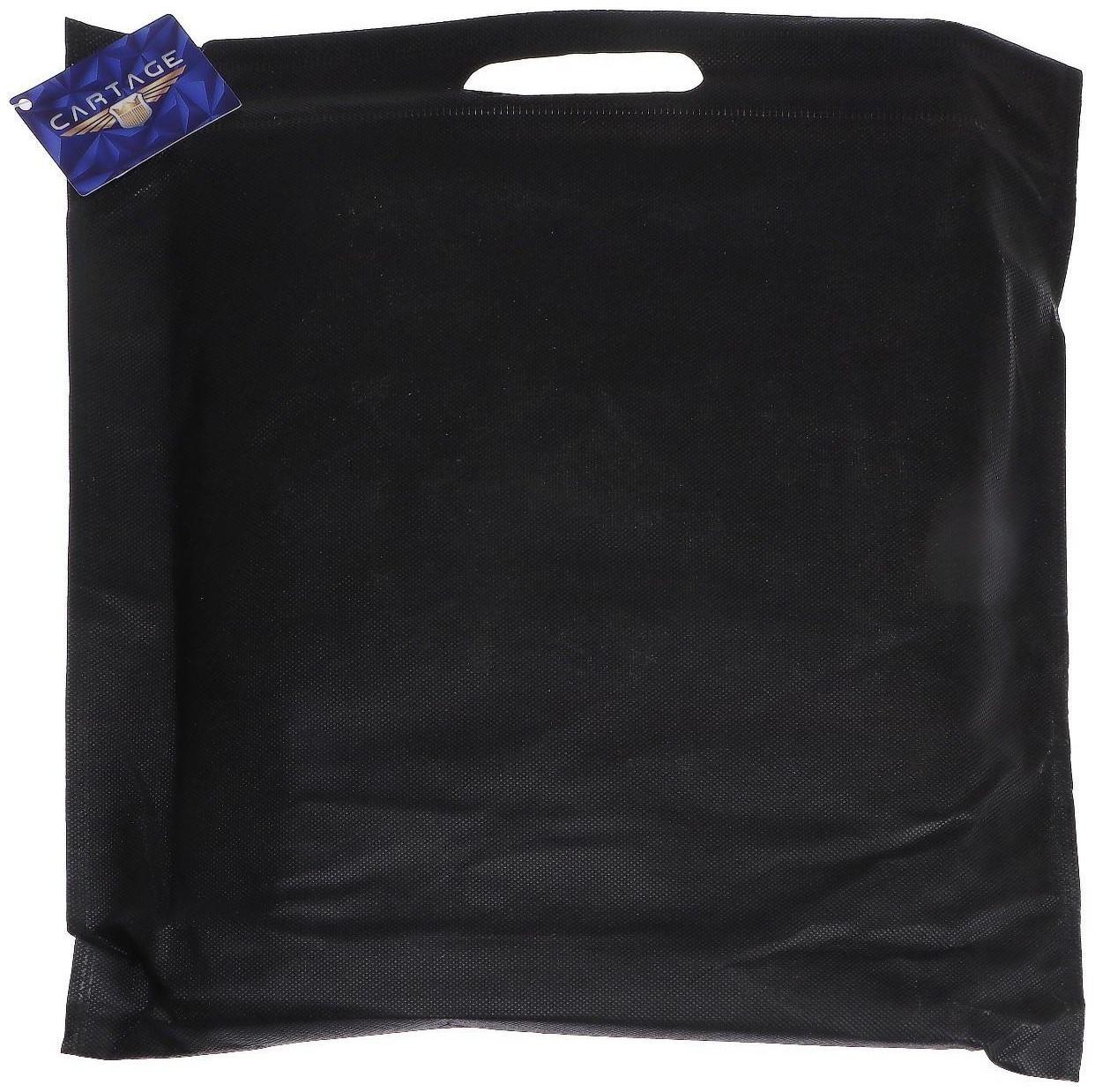 Чехол для лобового стекла и боковых зеркал Cartage, универсальный, 140×95 см