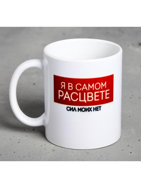 Кружка «Я в самом расцвете…», 300 мл