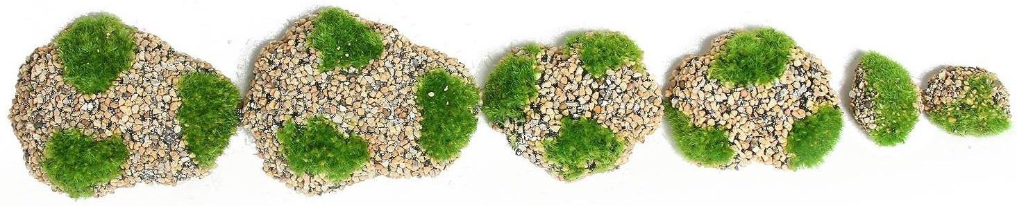 Мох искусственный «Камни», с каменной крошкой, набор 6 шт.