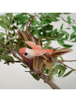 Птички для декора и флористики, на прищепке, МИКС, пластиковая, 1шт., 8 х 8 см