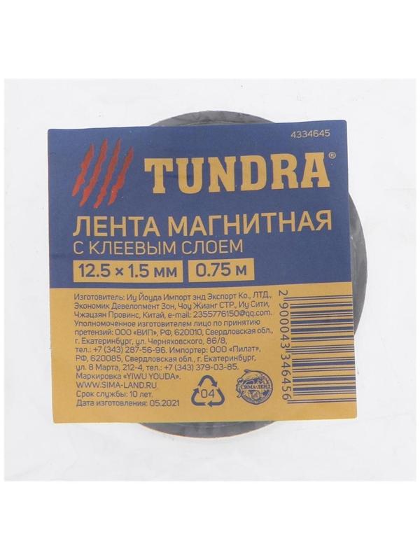 Магнитная лента ТУНДРА, с клеевым слоем, 12.5 х 1.5 мм, длина 0.75 м