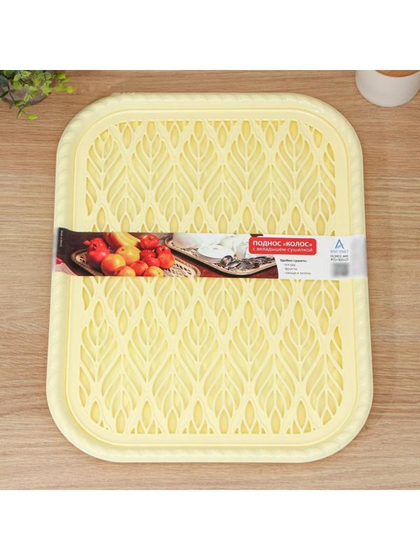 Поднос с вкладышем для сушки посуды «Колос», 45,5×36 см, цвет МИКС