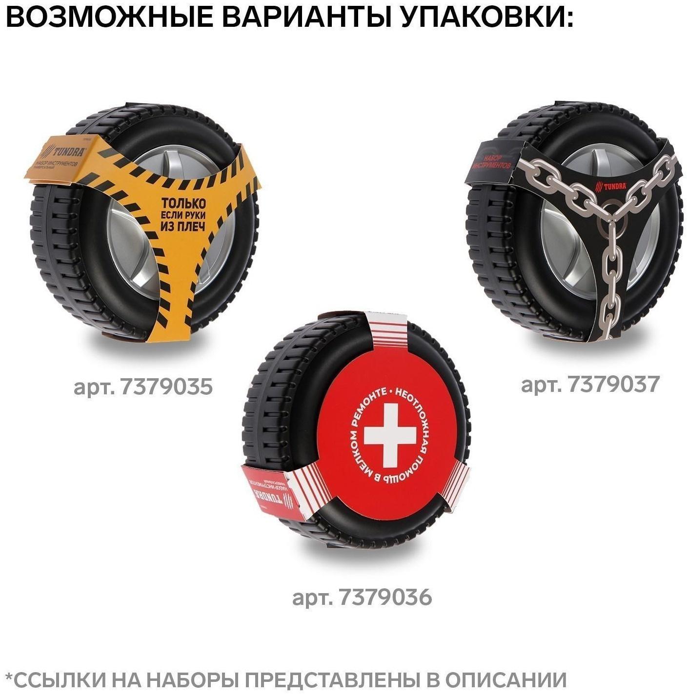 Набор инструментов ТУНДРА, подарочный пластиковый кейс 