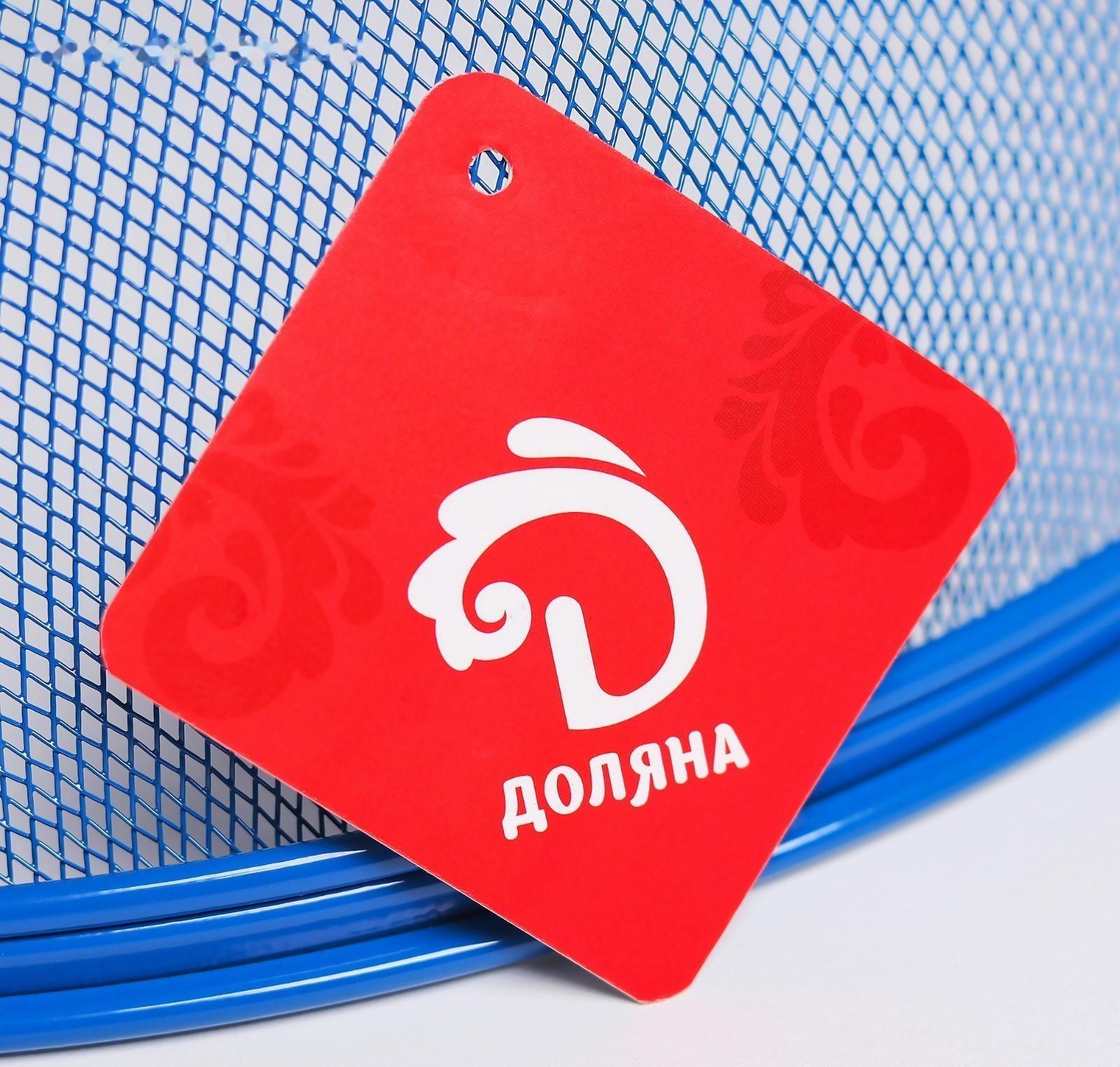 Сито с крышкой для хранения продуктов Доляна «Вкус», d=28 см, цвет МИКС