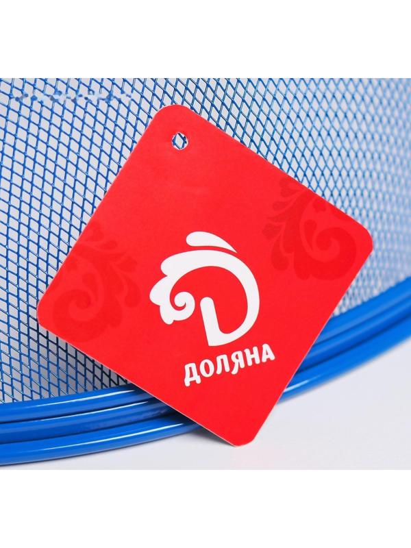 Сито с крышкой для хранения продуктов Доляна «Вкус», d=28 см, цвет МИКС