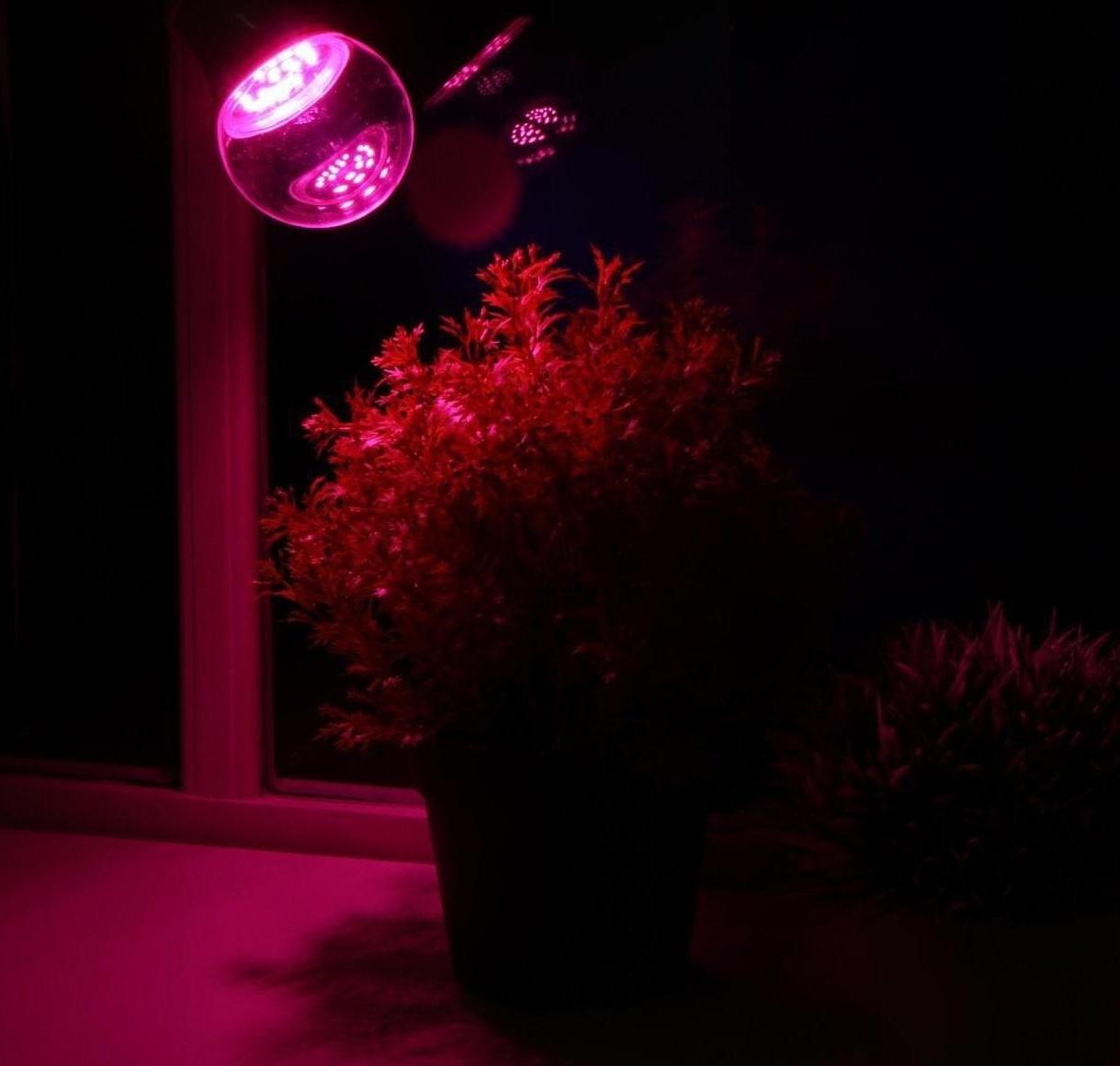 Фитолампа светодиодная Luazon, А60, E27, 9 Вт, IP44, 220 В, 270°, мультиспектральная