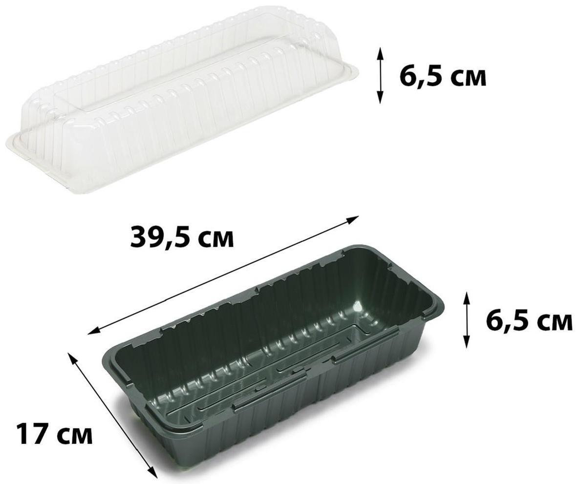 Мини-парник для рассады, 39.5 × 17 × 13 см, без вставок, тёмно-зелёный, Greengo