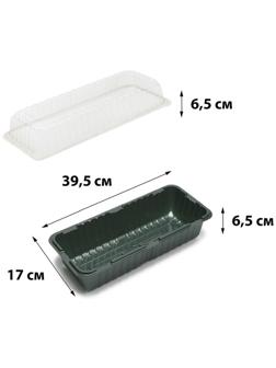 Мини-парник для рассады, 39.5 × 17 × 13 см, без вставок, тёмно-зелёный, Greengo