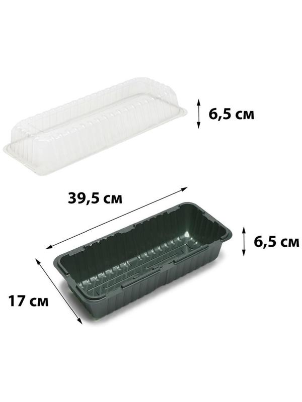 Мини-парник для рассады, 39.5 × 17 × 13 см, без вставок, тёмно-зелёный, Greengo