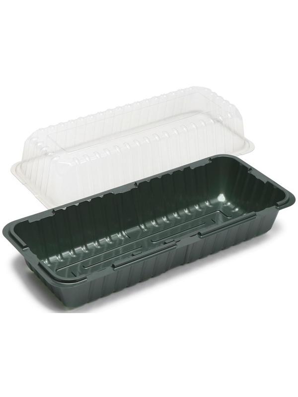 Мини-парник для рассады, 39.5 × 17 × 13 см, без вставок, тёмно-зелёный, Greengo