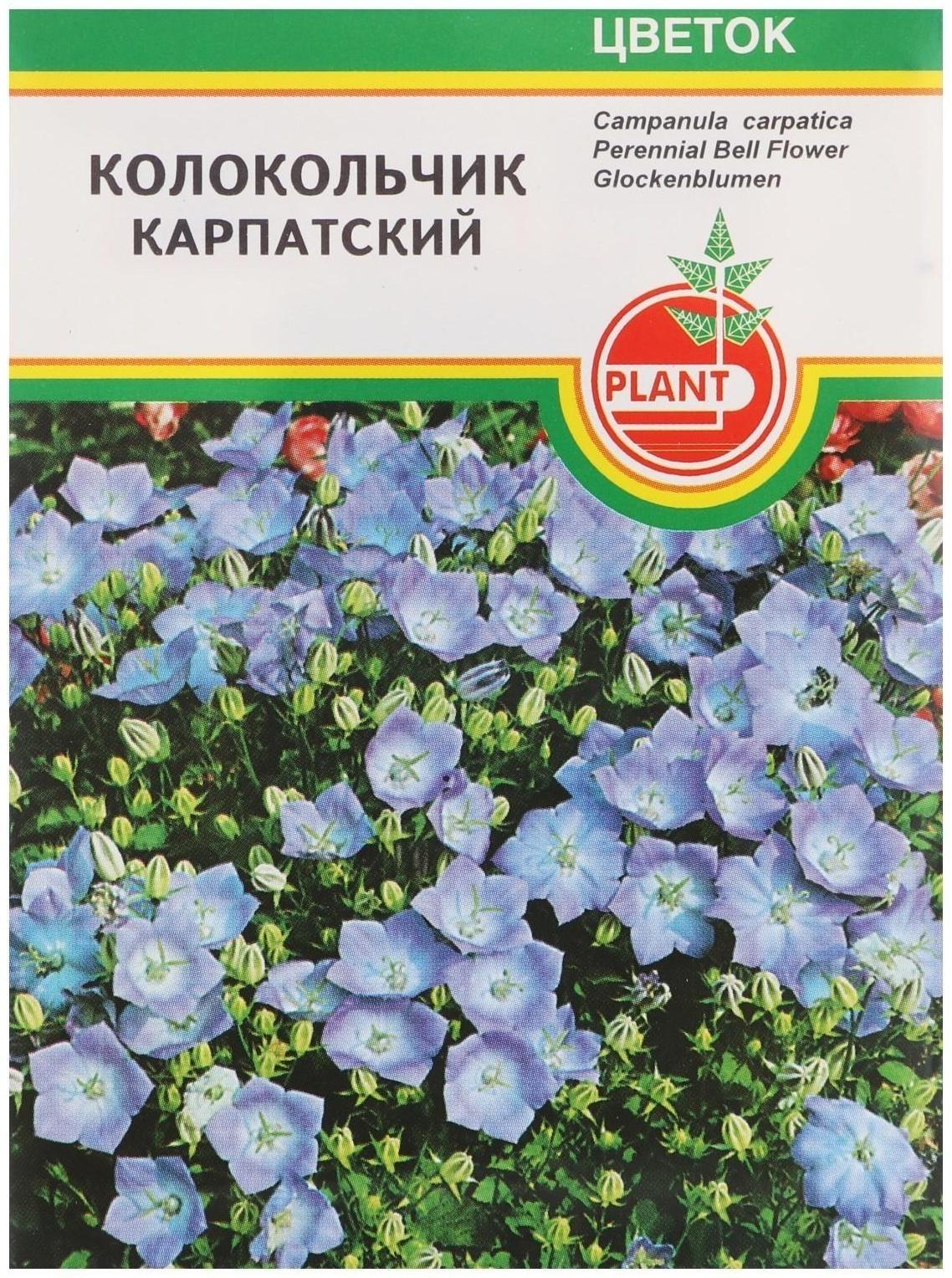 Семена цветов Колокольчик 