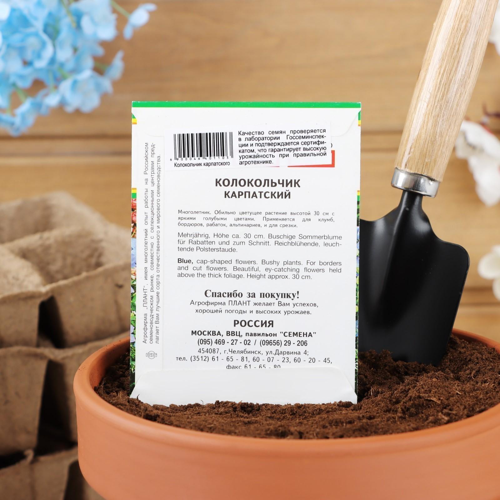 Семена цветов Колокольчик 