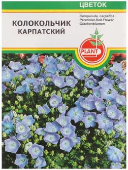 Семена цветов Колокольчик 