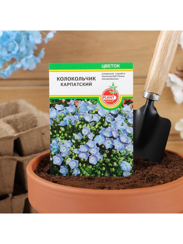 Семена цветов Колокольчик 