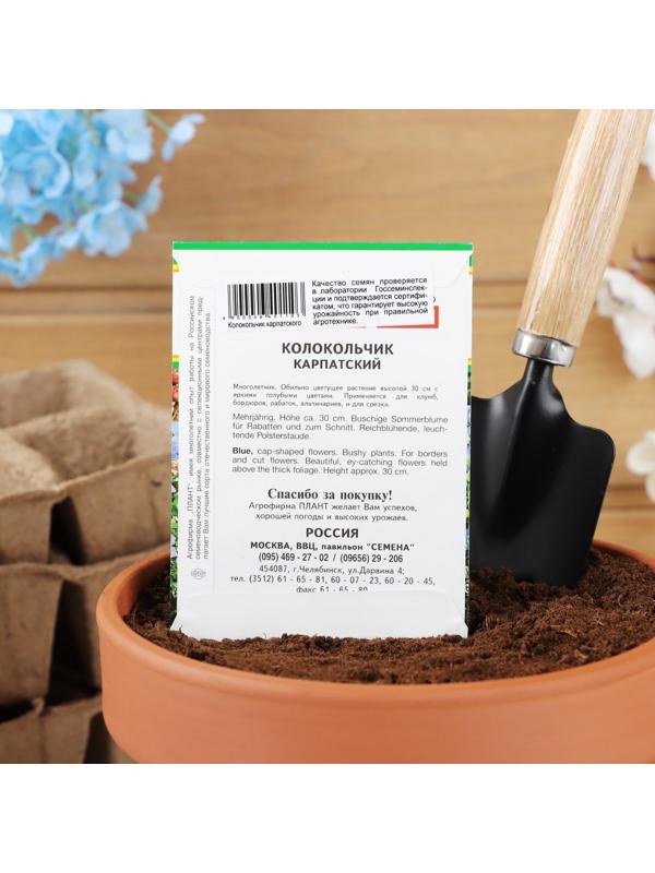 Семена цветов Колокольчик 