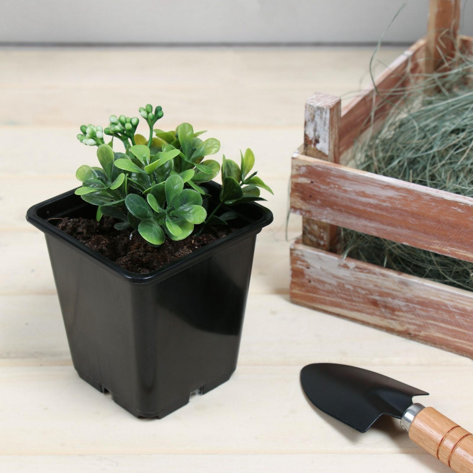 Горшок для рассады, 500 мл, 9 × 9 × 9,5 см, чёрный