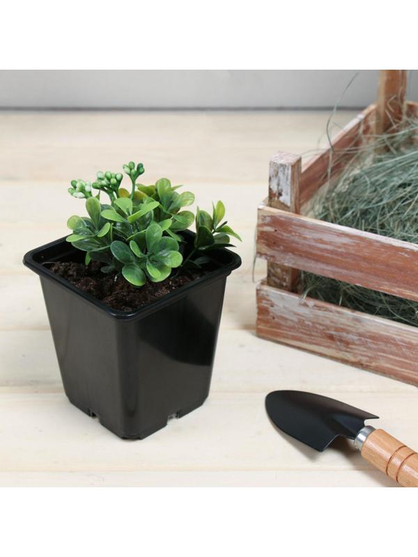 Горшок для рассады, 500 мл, 9 × 9 × 9,5 см, чёрный