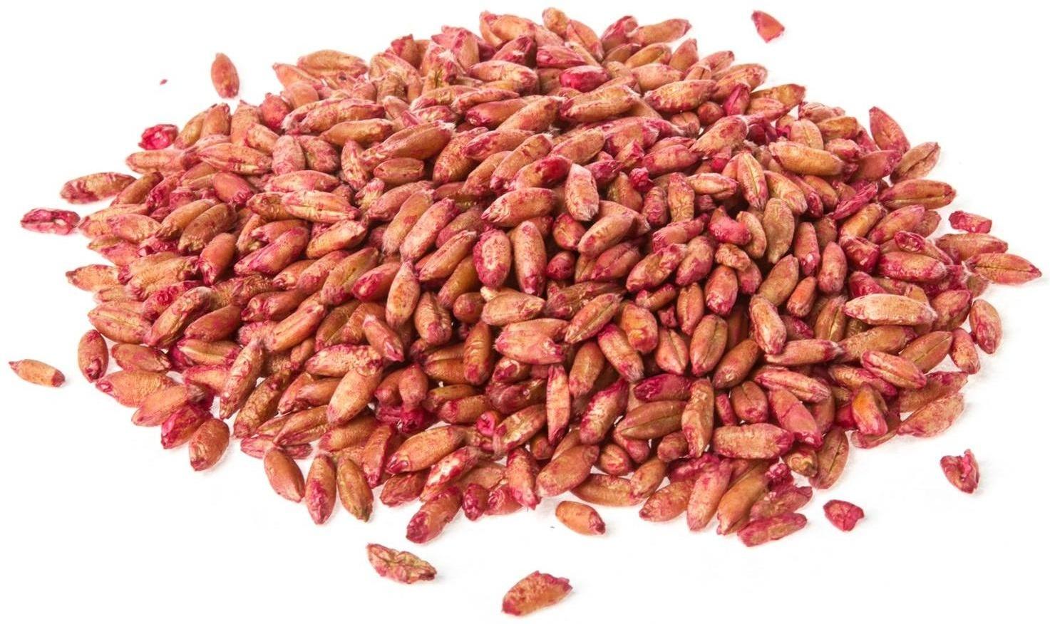 Средство от грызунов Абсолон зерновая приманка, пакет 0,5 кг