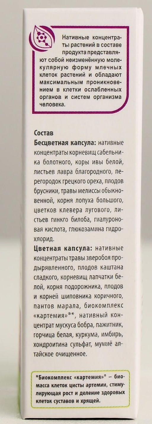 Комплекс «Сустарад», натуральный, здоровые суставы, 30 капсул по 0,5 г