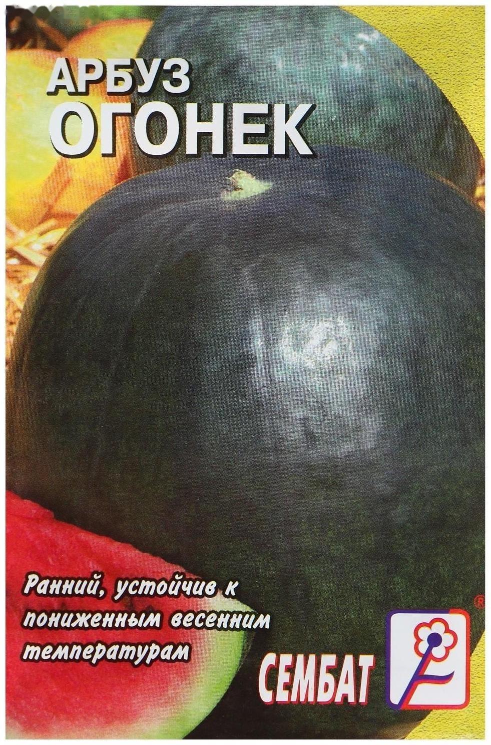 Семена Арбуз 