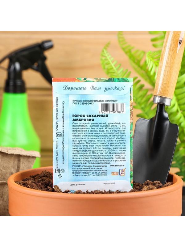 Семена Горох 