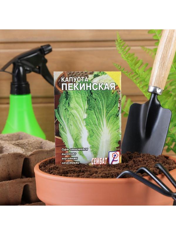 Семена Капуста пекинская, 0,5 г