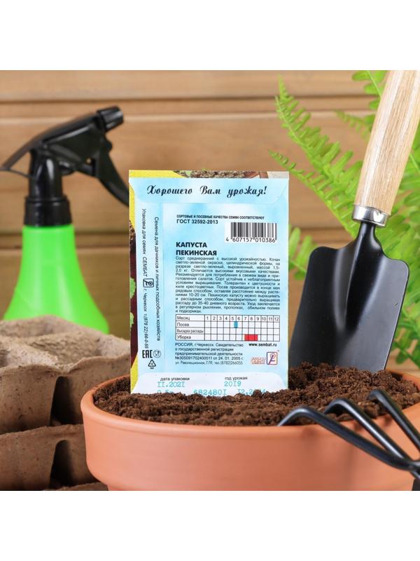 Семена Капуста пекинская, 0,5 г