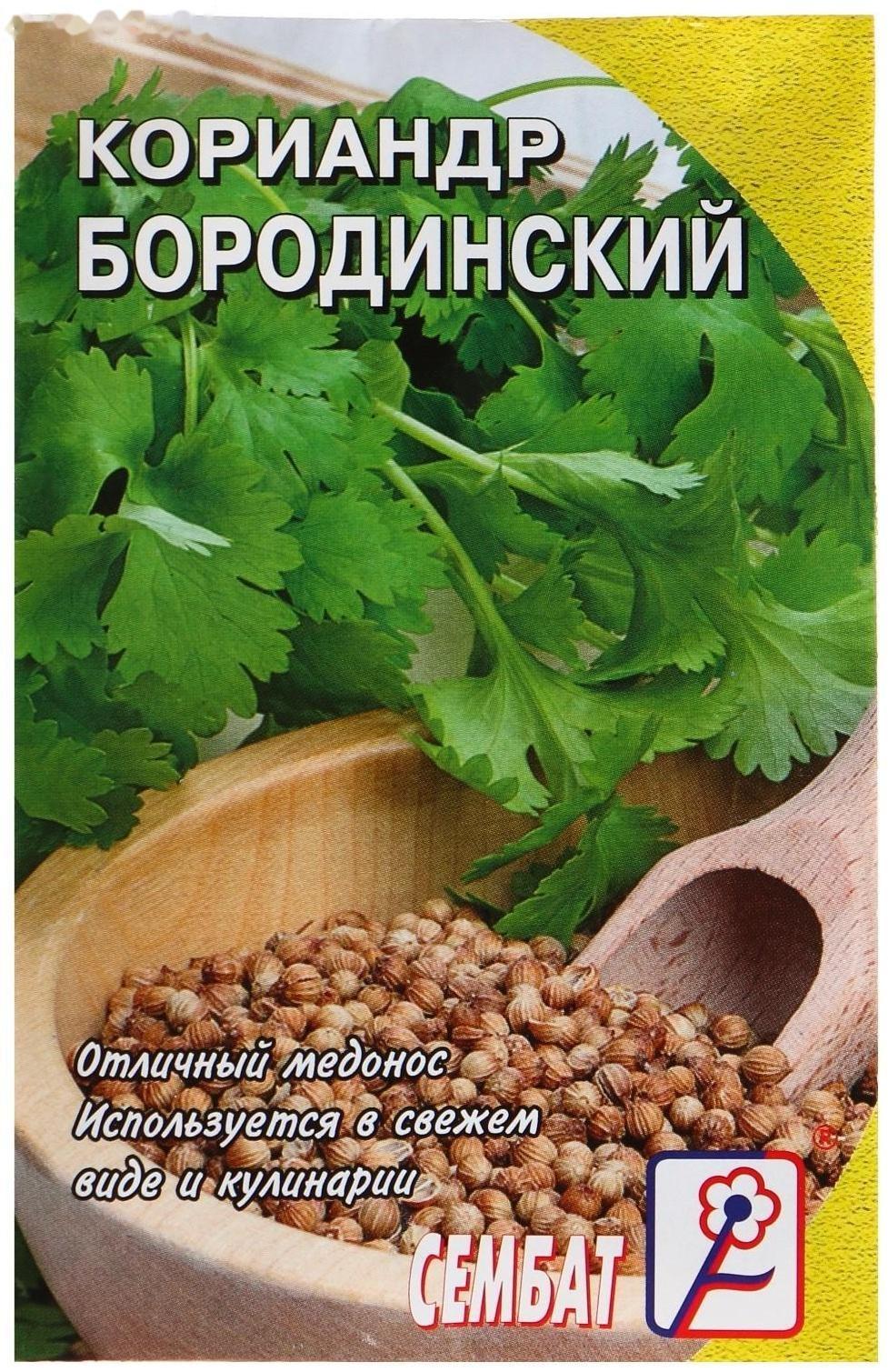 Семена Кориандр 