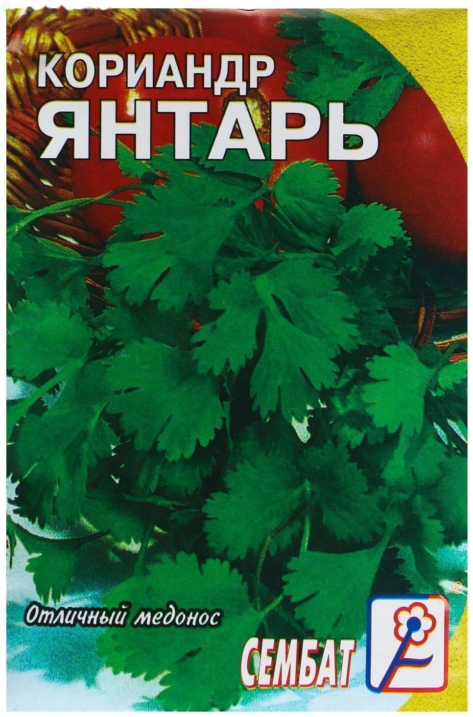 Семена Кориандр 