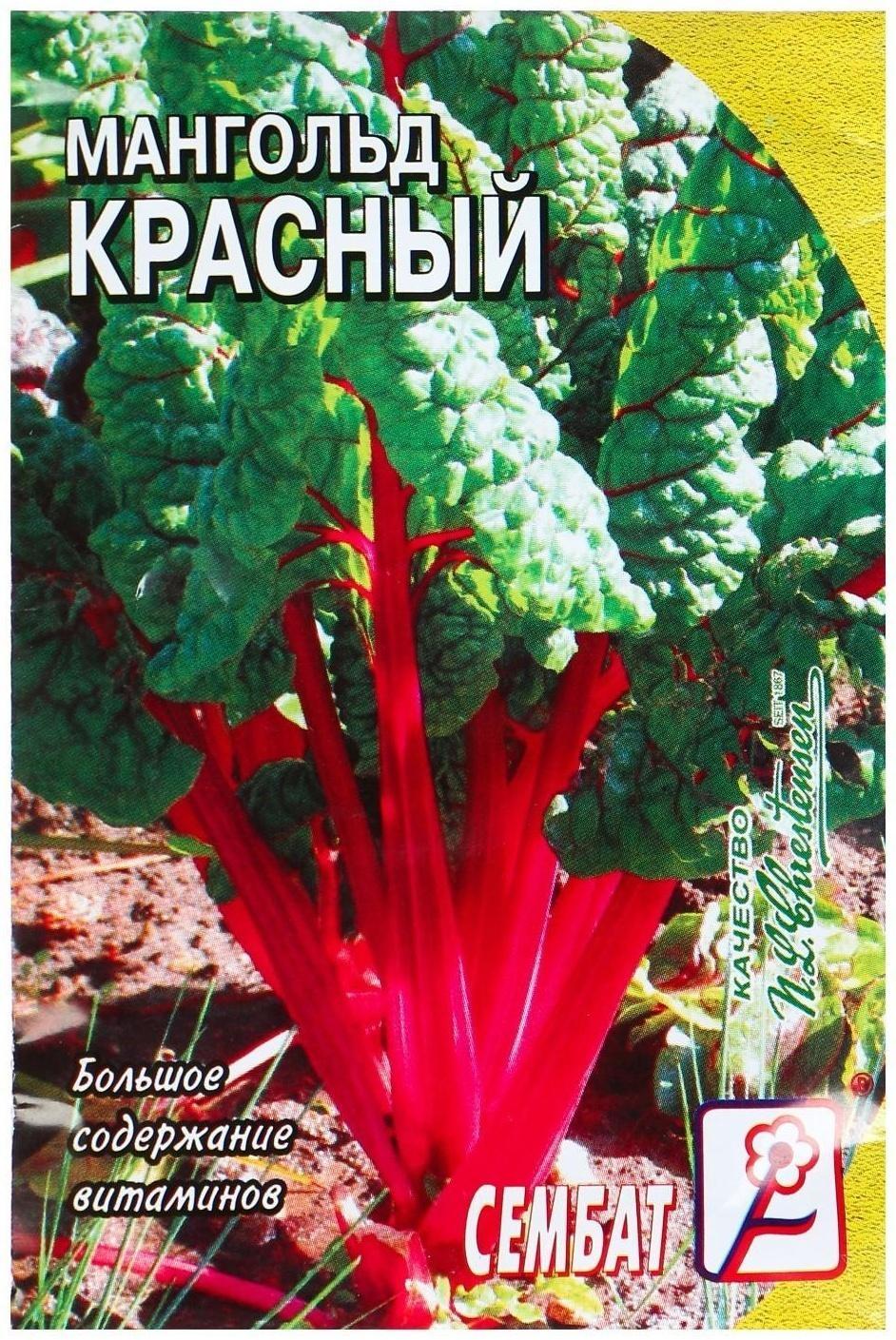 Семена Мангольд 