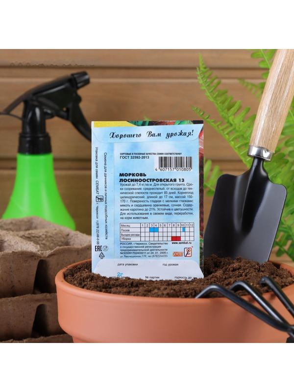 Семена Морковь 