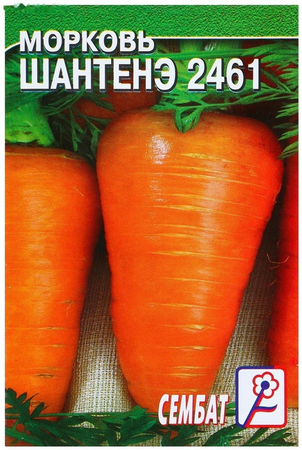 Семена Морковь 