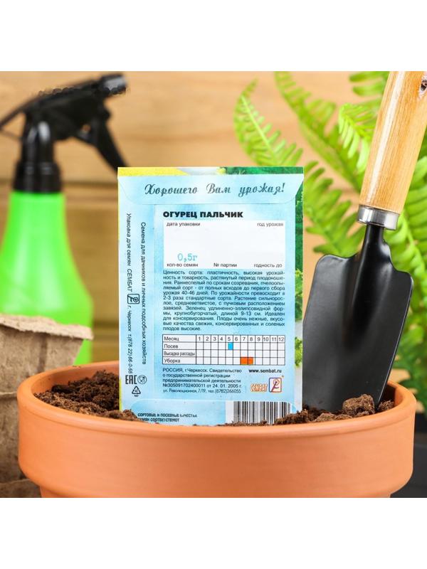 Семена Огурец 
