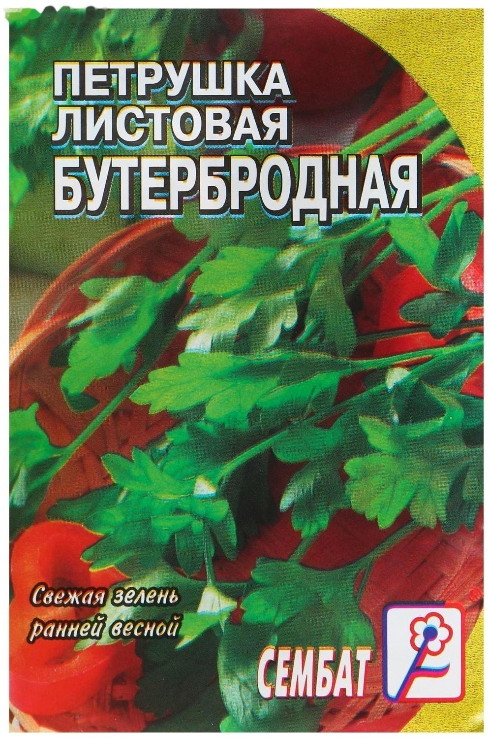 Семена Петрушка 