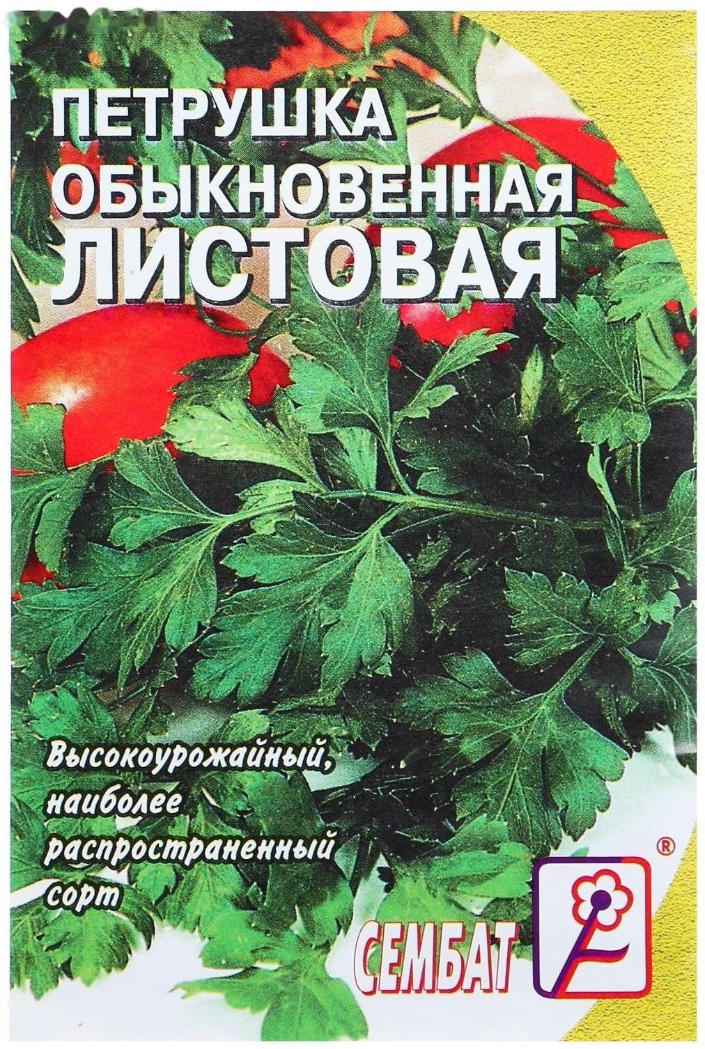 Семена Петрушка 